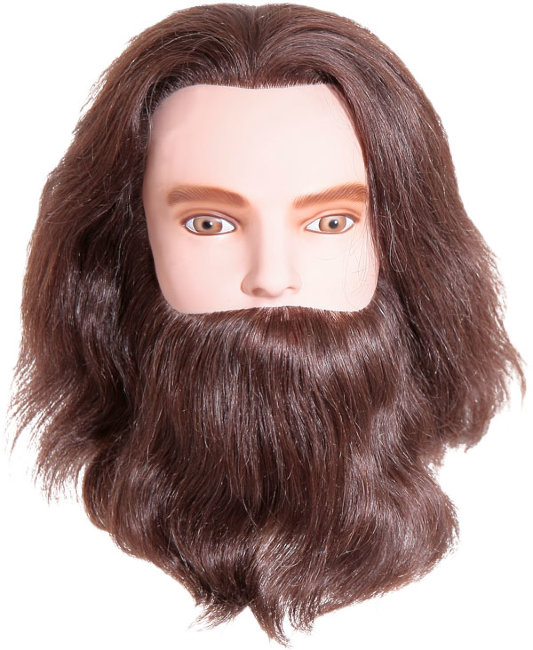 Голова учебная Sibel KARL с усами и бородой 30731 Голова учебная Sibel KARL с усами и бородой 30731