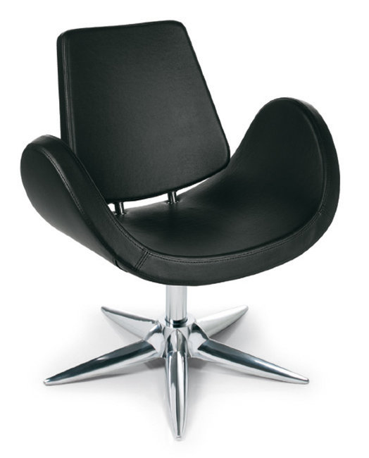 Кресло парикмахерское Gamma&Bross ALIPES CHAIR GSAP001PN/Promo Кресло парикмахерское Gamma&Bross ALIPES CHAIR GSAP001PN/Promo