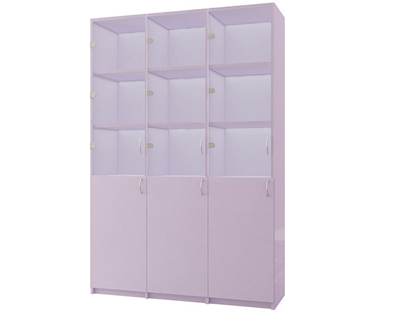 Шкаф "Имидж Мастер" №2 ШС-2-3