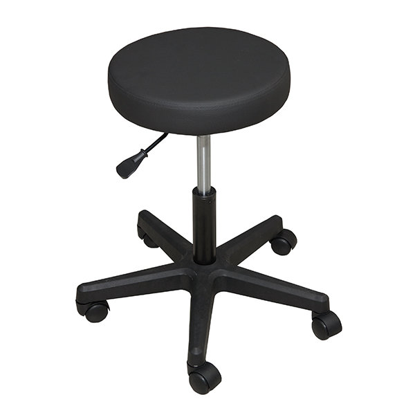 Стул "Имидж Мастер" ПРИЗМА ЭКО СМ-ПРэ Стул "Имидж Мастер" ПРИЗМА ЭКО СМ-ПРэ