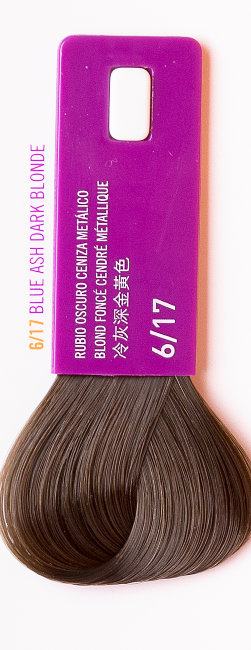 Темно-белокурый пепельно-металлический цвет, крем-краска LAKME GLOSS 6/17 36171 Темно-белокурый пепельно-металлический цвет, крем-краска LAKME GLOSS 6/17 36171