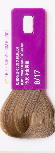 Светло-белокурый пепельно-металлический цвет, крем-краска LAKME GLOSS 8/17 38171 Светло-белокурый пепельно-металлический цвет, крем-краска LAKME GLOSS 8/17 38171